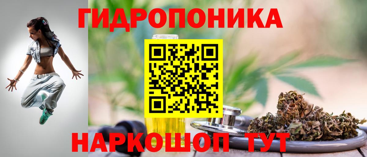 Галлюциногенные грибы Минусинск